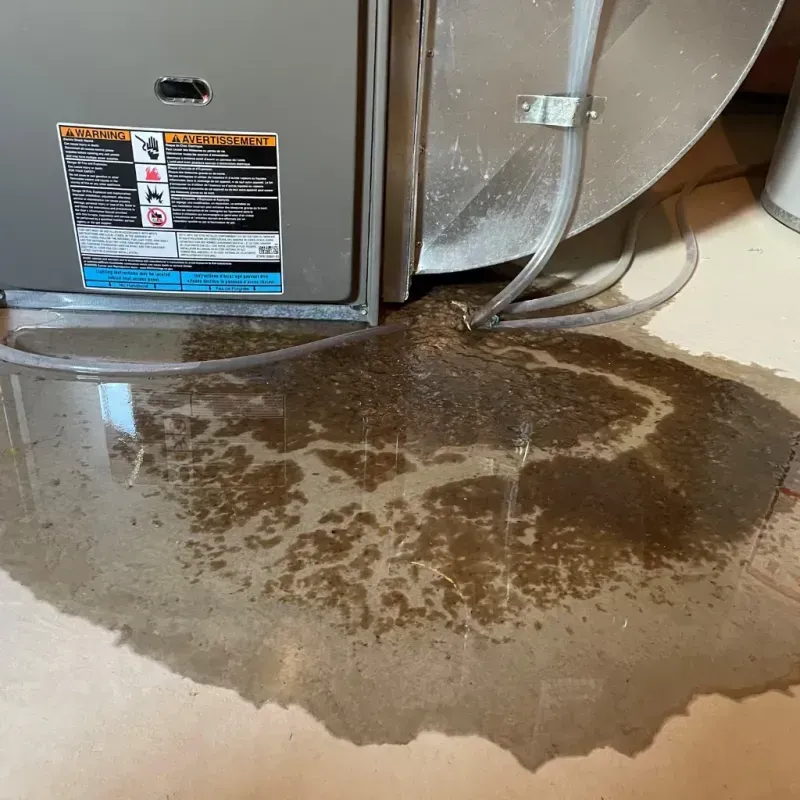 Appliance Leak Cleanup in Lower West Side, IL